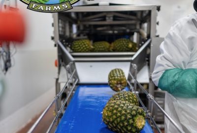 produce quality standards