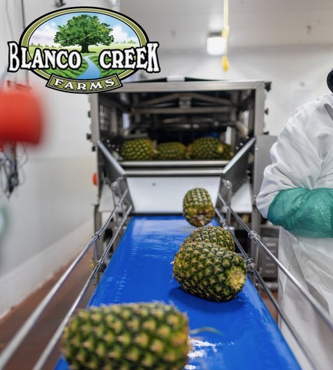 produce quality standards