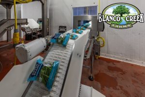 Why Consistency Matters More Than Perfection in Produce Processing